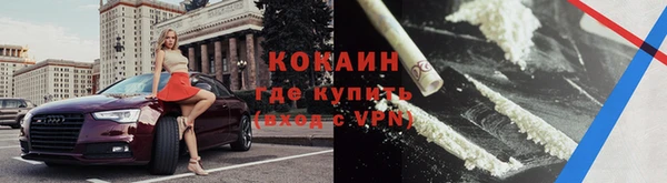 ешки Аркадак