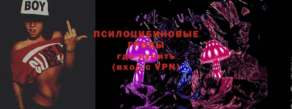 эйфоретик Абинск