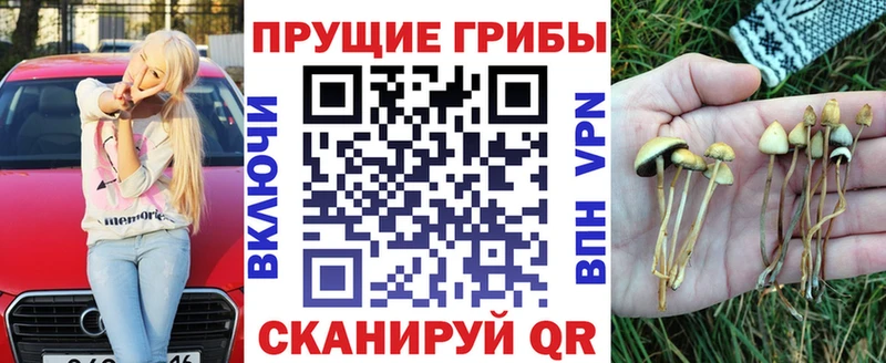 Галлюциногенные грибы мухоморы  как найти   Устюжна 